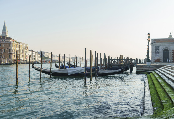 Traghetto Dogana - Ormeggi Punta della Dogana